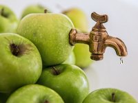 Srednjoškolci proizvode domaće prirodne sokove