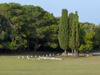 Nacionalni parkovi otvaraju svoja vrata, evo kako će to izgledati