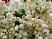 Uoči Uskrsa: Nikad veća potražnja za mladom kapulicom i češnjakom, a manja za janjetinom