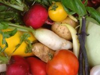 Pet posto hrane opasno je onečišćeno