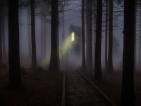 Zoranove drvene kućice u krošnjama stabala