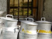 Proizvođači mlijeka u Hrvatskoj jedva preživljavaju: Otkup porastao 2 posto, profiti prerađivača i do 194 posto