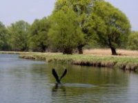 VINA BELJE - najimpresivniji vinogradi i vinarija hrvatskoga Podunavlja