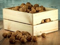 Tomislav Kovač: Kad je došao red da preuzmem posao, rekao sam neću krave, orahe ću i tikve