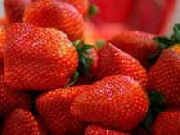 Poljoprivrednik iz Pakraca završio je u europskim medijima. Zanimalo ih je kako radi