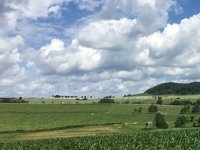 Nakon žestoke reakcije Beograda, ministar Tolušić će reterirati?