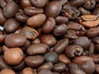 Uspjeh usred epidemije: Počela s aparatima, a sada proizvodi kavu koja mijenja Knin