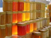 Školarci sami otvaraju košnice i godišnje proizvedu 200 kg meda