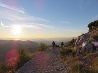 Vuk Vuković piše za Index: Ova kriza razotkrila je kako Hrvatska (ne) funkcionira
