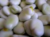 Oko boba iz Slavonije uskoro bi se mogao vrtjeti lanac prehrambene industrije Europe