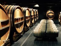 Kako je 5 više od 8? Evo priče koja stoji iza uspjeha vinarije Košćak