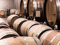 ‘U našem vinu uživali su mornari s američkog nosača, a šaljemo ga i Francuzima u Bordeaux‘