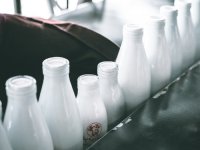Vlada planira potpore za sektor mlijeka u visini od 24 milijuna eura