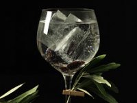 Kako su dva pilota u godinu dana u Zagrebu napravila najbolji gin na svijetu