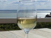 U Kinu kreće i drugi kontejner erdutskih vina