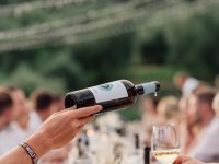 Hrvatska vina rame uz rame sa svjetskim