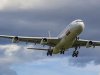 Poletio Limitless airways