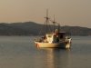 Ulov i uzgoj morske ribe lani povećan 18 posto