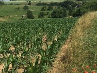 Država nema novca za nadoknadu štete od travanjskog mraza