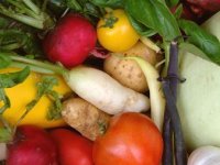 CARINE: BiH štiti domaću poljoprivredu