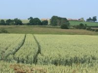 Započela isplata potpora poljoprivrednicima - isplaćeno prvih 307 milijuna kuna