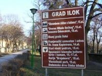 Na britanskom dvoru pije se vino iz Iločkih podruma: Ispričali su nam kako je sve počelo