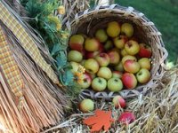 Napustio građevinu i stvorio eko oazu: Market ima svoju vodu, struju i hranu