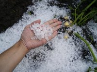 Prve procjene: Štete od elementarnih nepogoda u poljoprivredi 509 milijuna kuna