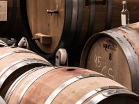 Vodnjanka Egle Katunar: Za sve je kriva ljubav, i to na – prvi pogled