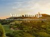 Zagorje čuva svoje najveće vinsko blago - i pretvara ga u turističku atrakciju