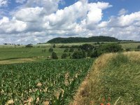 Tolušić: Poljoprivrednicima će biti sanirano 100 posto štete