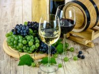 Vinski maraton promocija je turizma